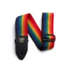 Ernie Ball E4044 Polypro Strap - Rainbow | Guitar Straps | P04044