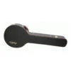 Epiphone 5 String Banjo Hard Case