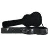 Sky 335 Guitar Case