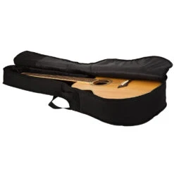 Gator GBE-AC-BASS -Guitar Instrument Store ggbeac3